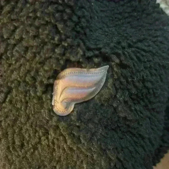 Fabletics Black Sherpa Summit Teddy Jacket oversized bomber full-zip - XL - Picture 7 of 8